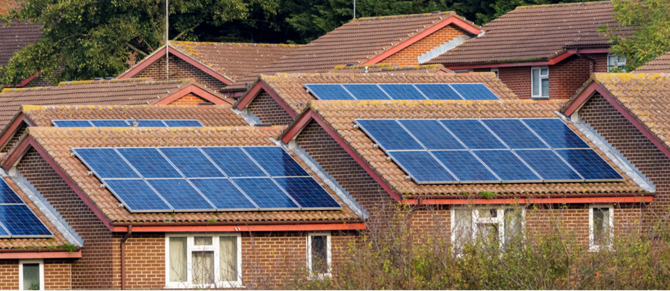 Flagship Carbon Zero Projects Are Counter Productive