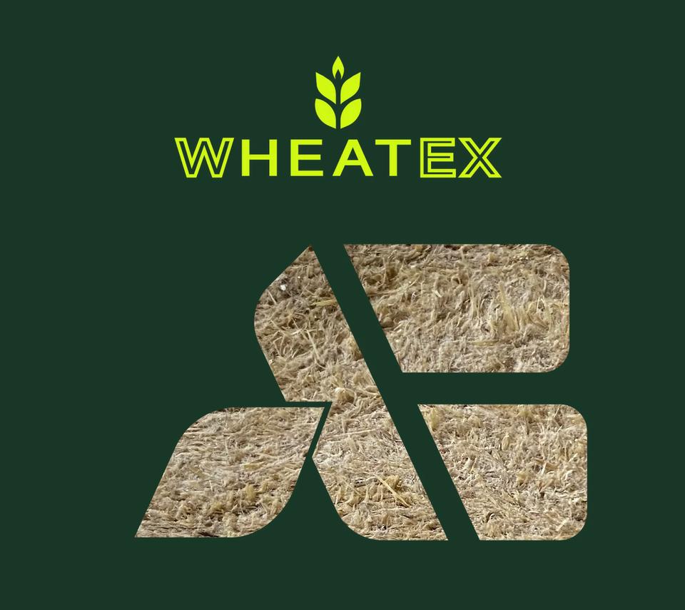 The Sparks of 2026: #1